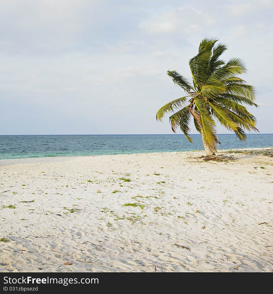 Cayo Sabinal in Camaguey Province, Cuba. Cayo Sabinal in Camaguey Province, Cuba