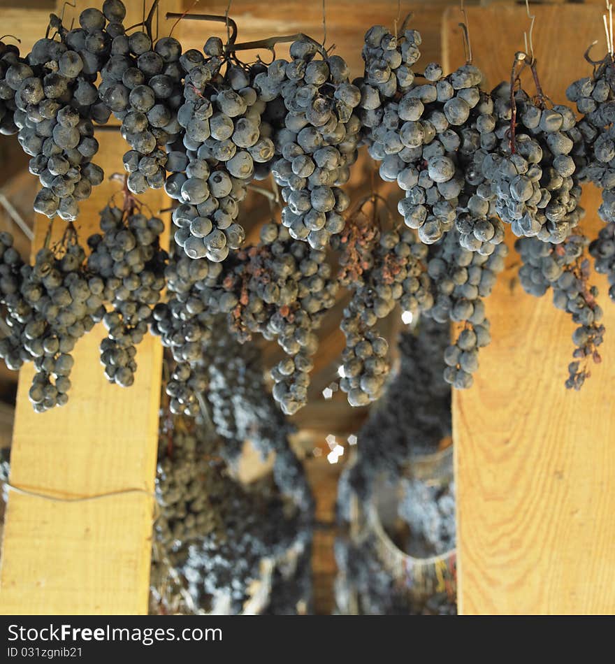 Drying grapes