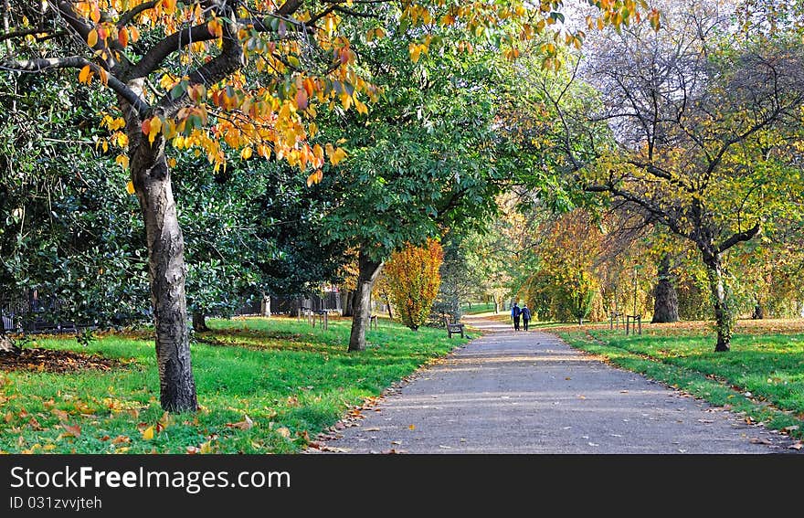 Going for a walk in the park. Going for a walk in the park