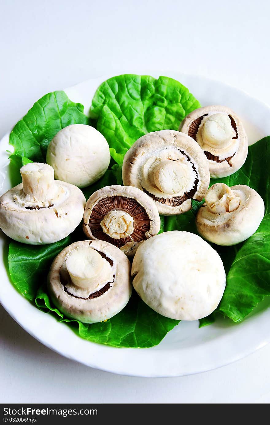 White mushrooms on green vegetable. White mushrooms on green vegetable