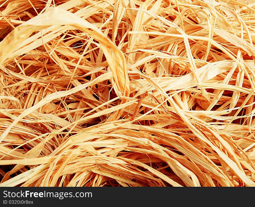 Closeup of a pile of reed