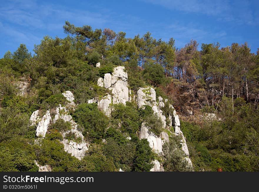 Portugal mountain with a beautiful forest overgrown with caves