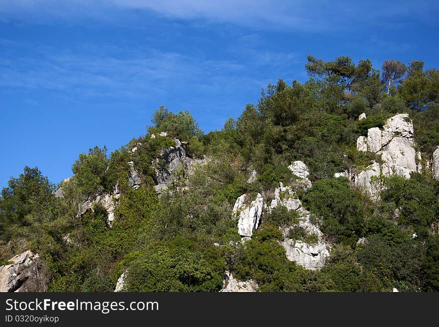 Portugal mountain with a beautiful forest overgrown with caves