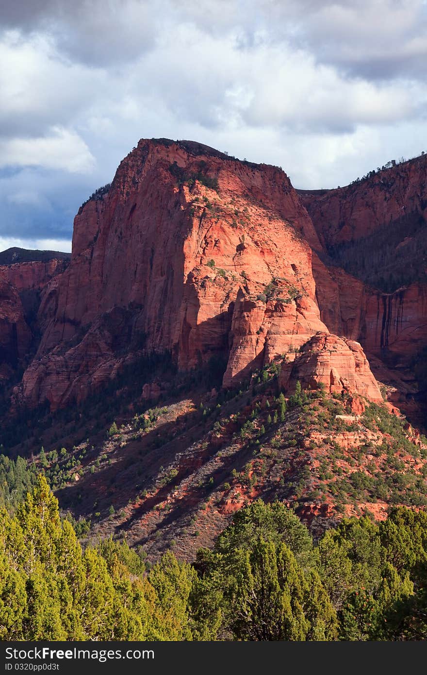 Timber Top Mesa