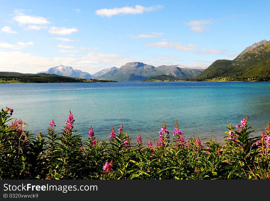 A quiet place in the nature in a european northern country