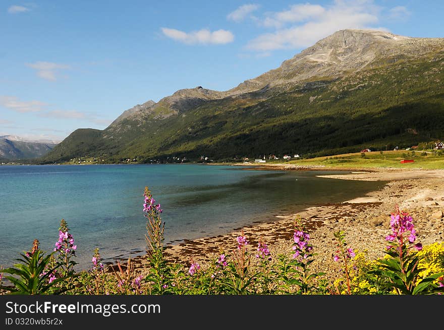 A quiet place in the nature in a european northern country