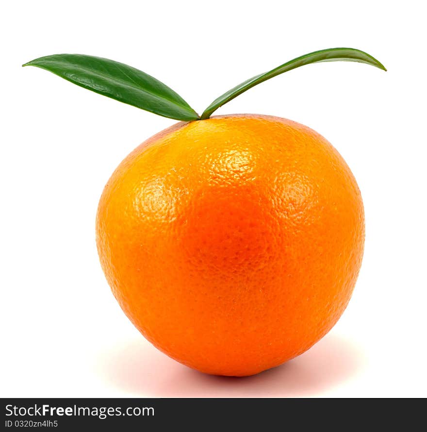 Studio shot of perfect orange isolated on white background