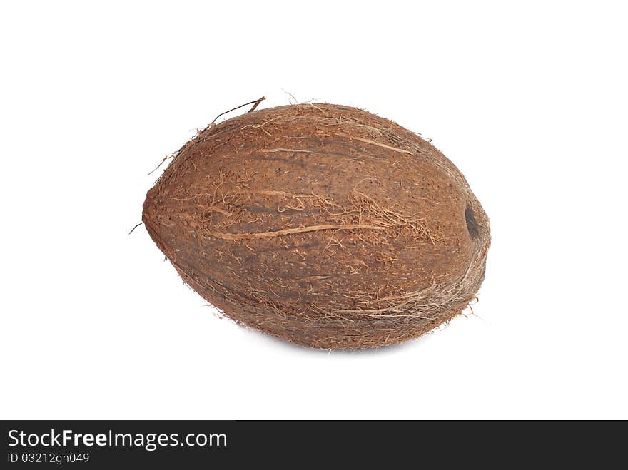 Coconut