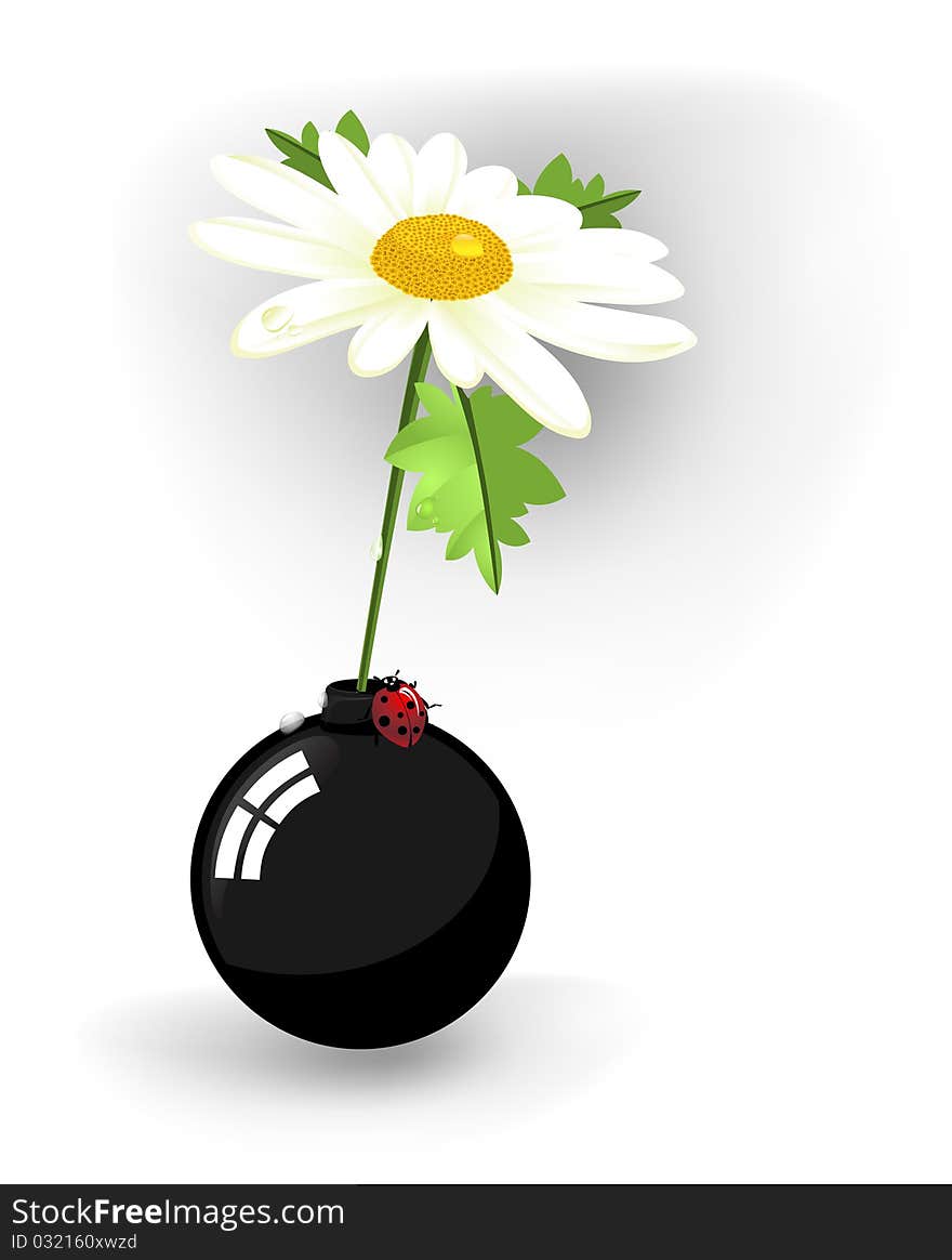 Chamomile flower in a vase in the form of bombs. Chamomile flower in a vase in the form of bombs