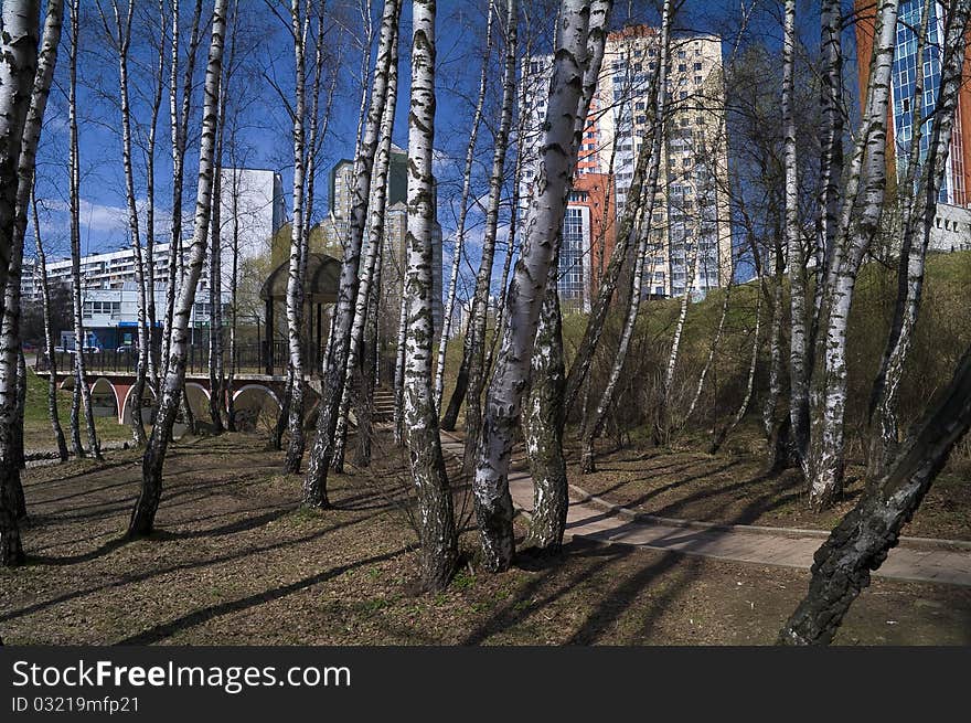 Small forest park in Moscow, early spring. Small forest park in Moscow, early spring.