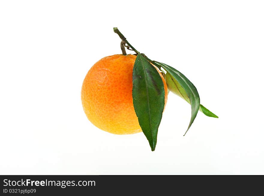 Orange isolated on white background.