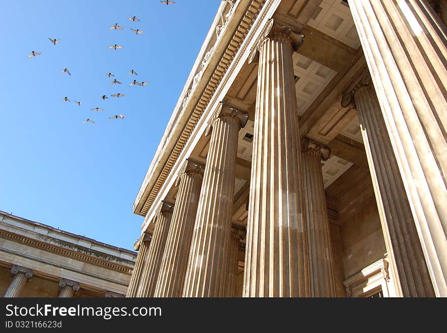 British museum with birds