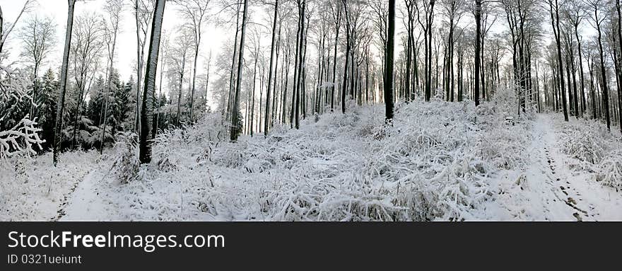 Winter in the Habichtswald mountains near Kassel, Germany. Winter in the Habichtswald mountains near Kassel, Germany