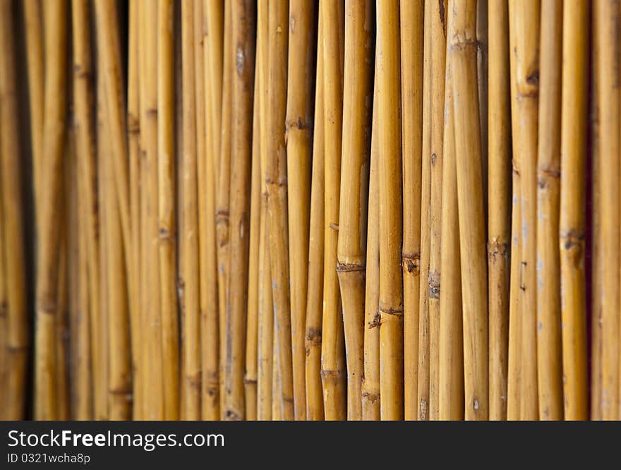 Yellow little bamboo trunks were in line by nails and arranged in fencing form. Yellow little bamboo trunks were in line by nails and arranged in fencing form.