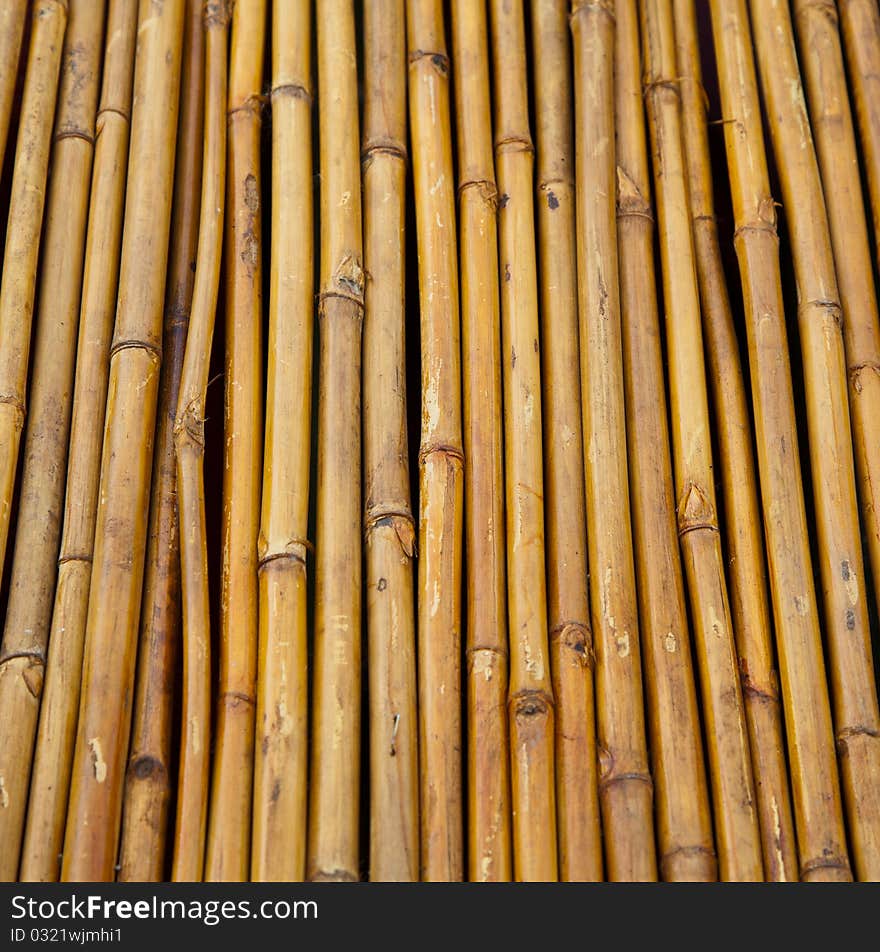 Yellow little bamboo trunks were in line by nails and arranged in fencing form. Yellow little bamboo trunks were in line by nails and arranged in fencing form.