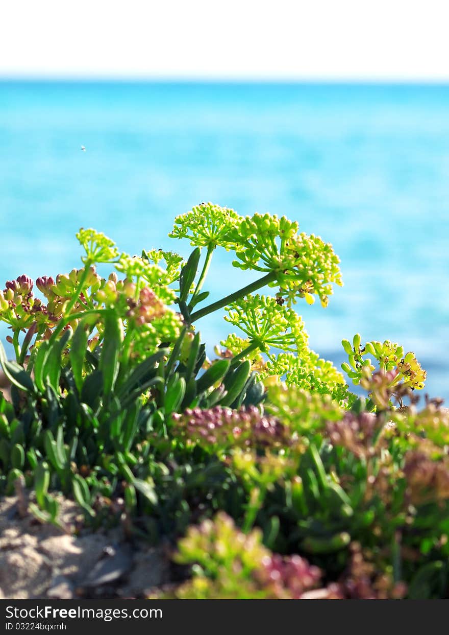 Marine landscape Mediterranean resorts sunny day