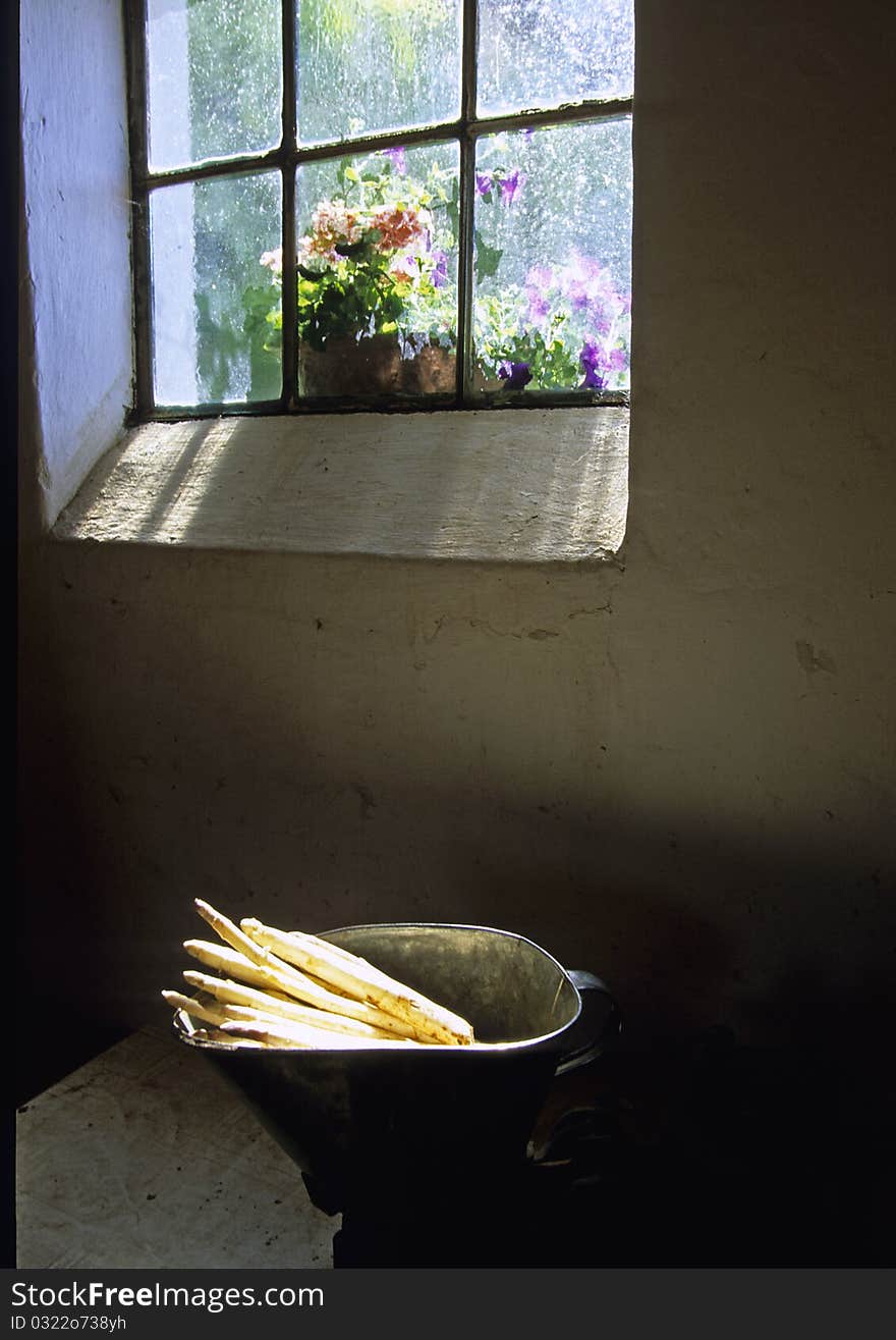 Bunch of asparagus in tin Basket