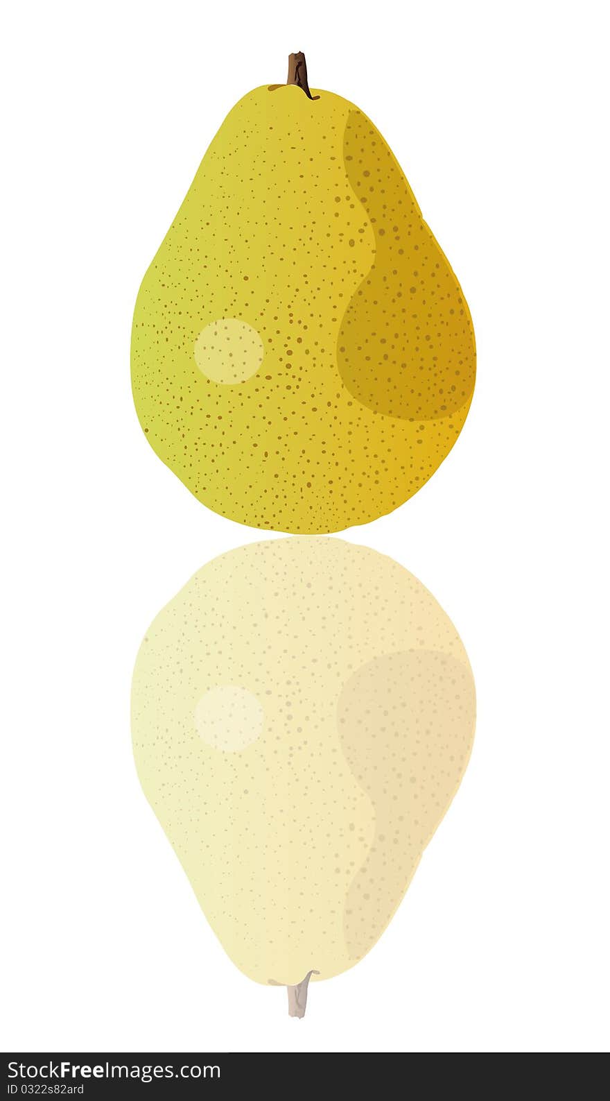 This image represents a pear fruit isolated on a white background