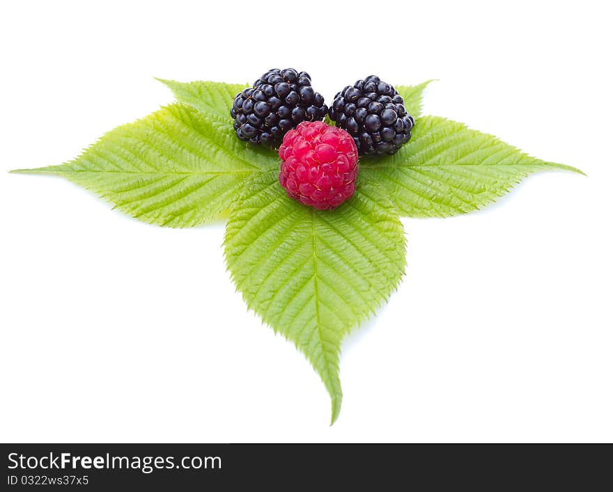 blackberries and raspberry on leaves