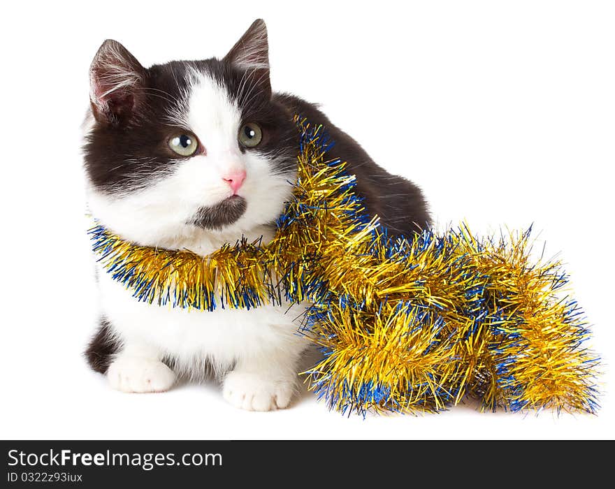 Close-up cat with garland, isolated on white