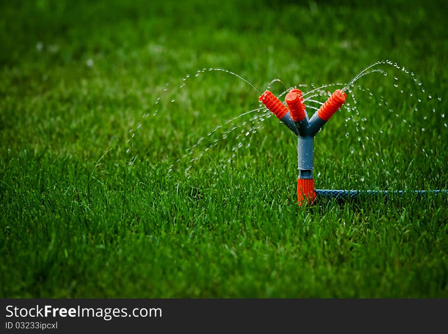 Grass watering