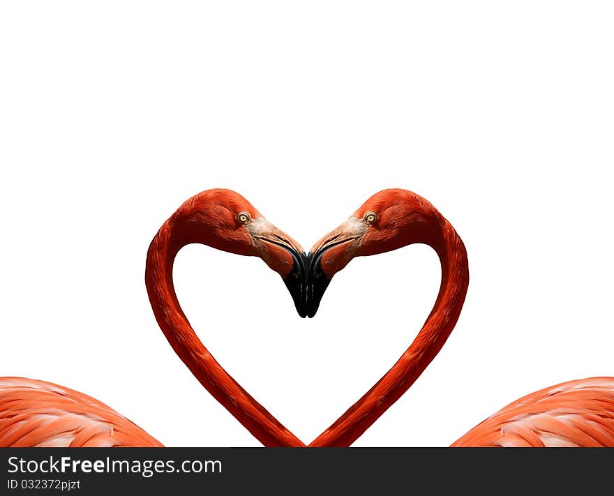 Postcard Valentine's Day with pink flamingos on the background of the heart