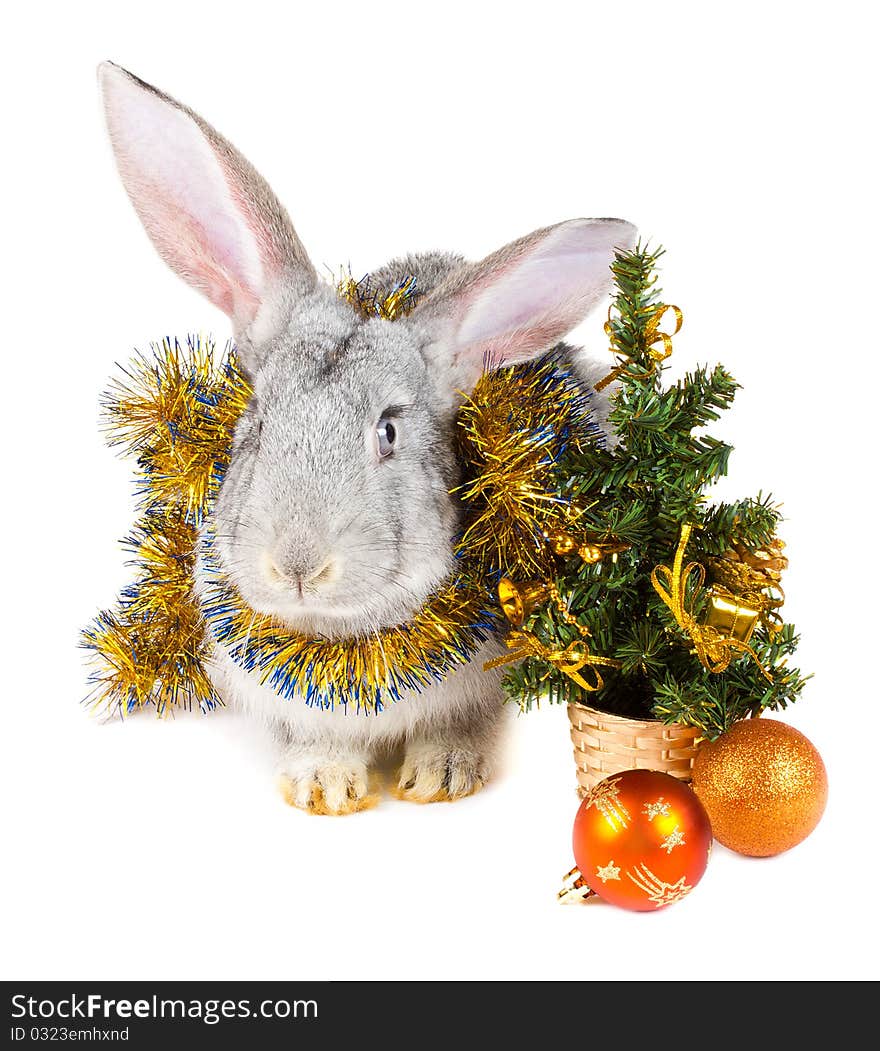 Gray Rabbit And Christmas Decorations