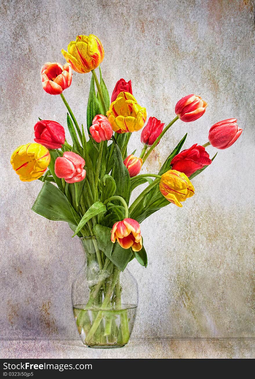 Artistic Tulips