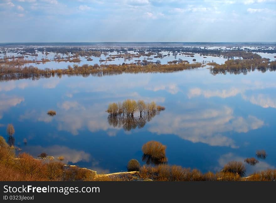 Many trees in water-meadow, view from above. Many trees in water-meadow, view from above