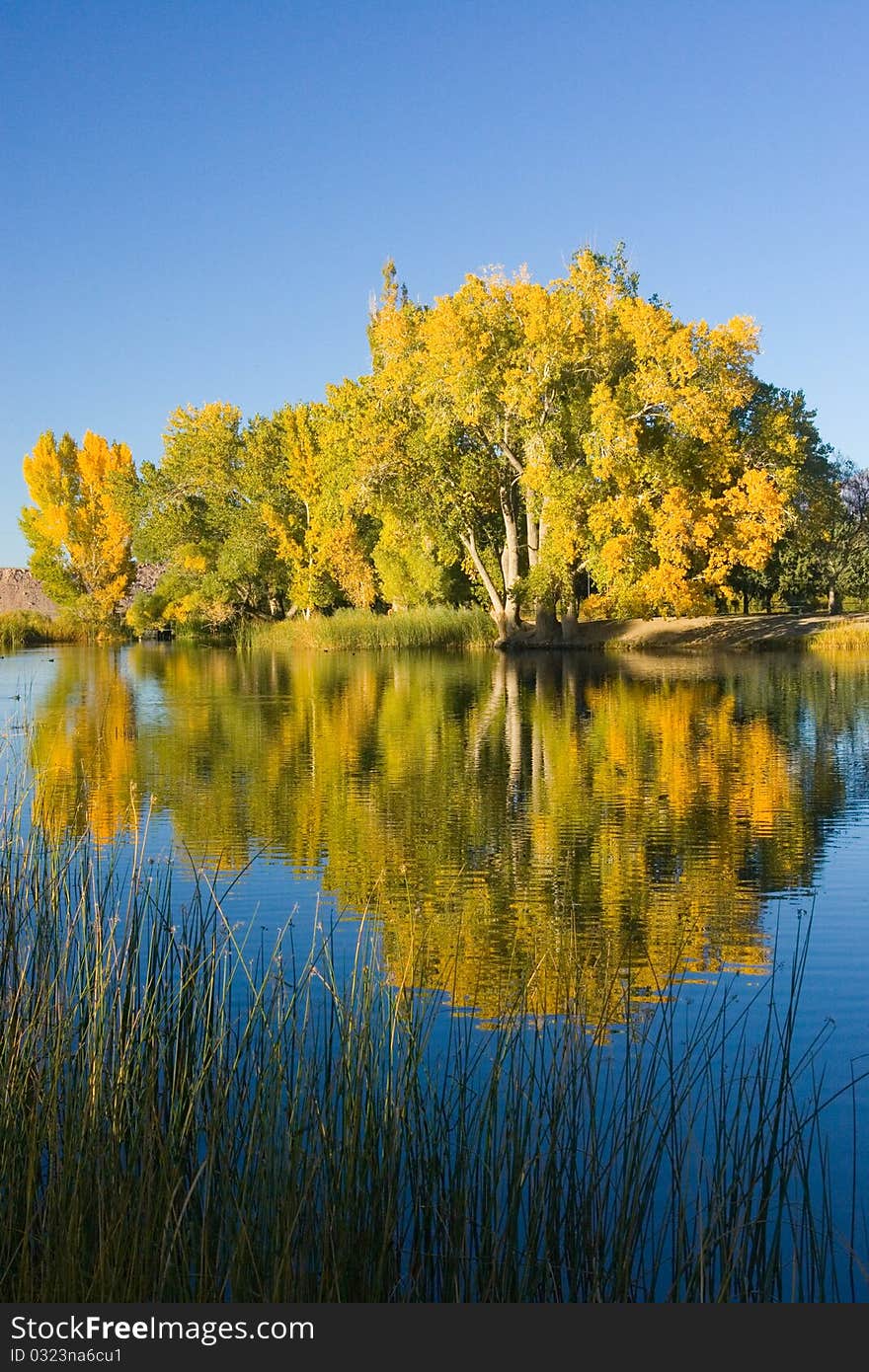 Fall Colors and Lake with Reflection in the Eastern Sierra