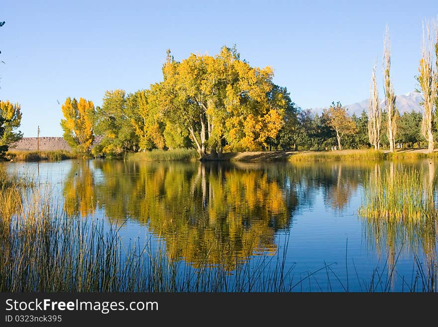 Fall Colors and Lake with Reflection in the Eastern Sierra