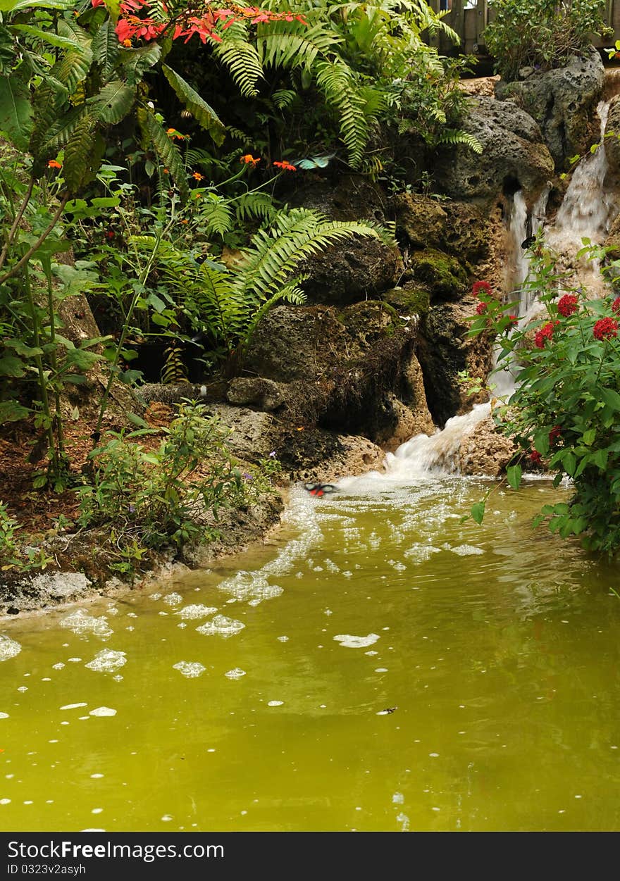 Exotic waterfall and swamp