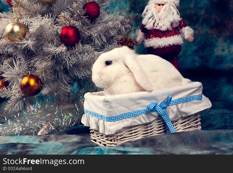 Christmas white rabbit in the basket with Santa Claus near the white Christmas-tree