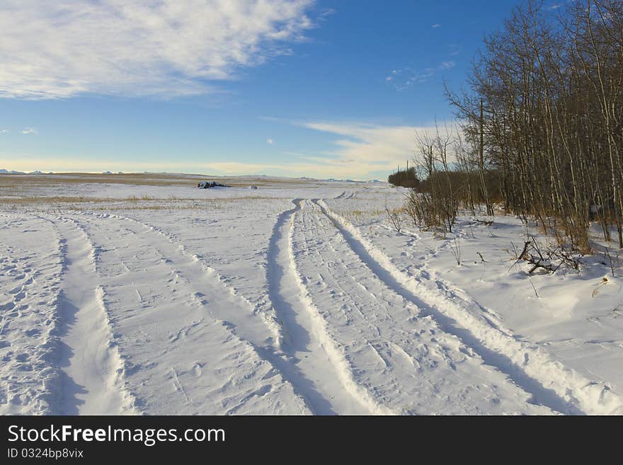 Tire tracks in a snow covered farmers field. Tire tracks in a snow covered farmers field