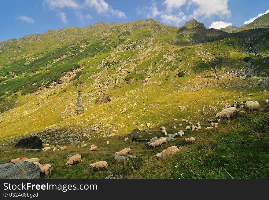 Mountains landscape in Rodnei mountains, Romania