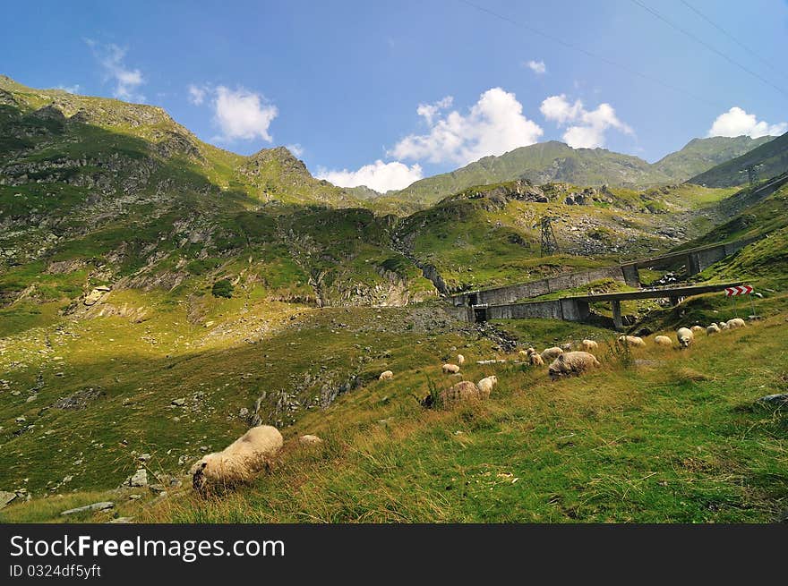 Mountains landscape in Rodnei mountains, Romania