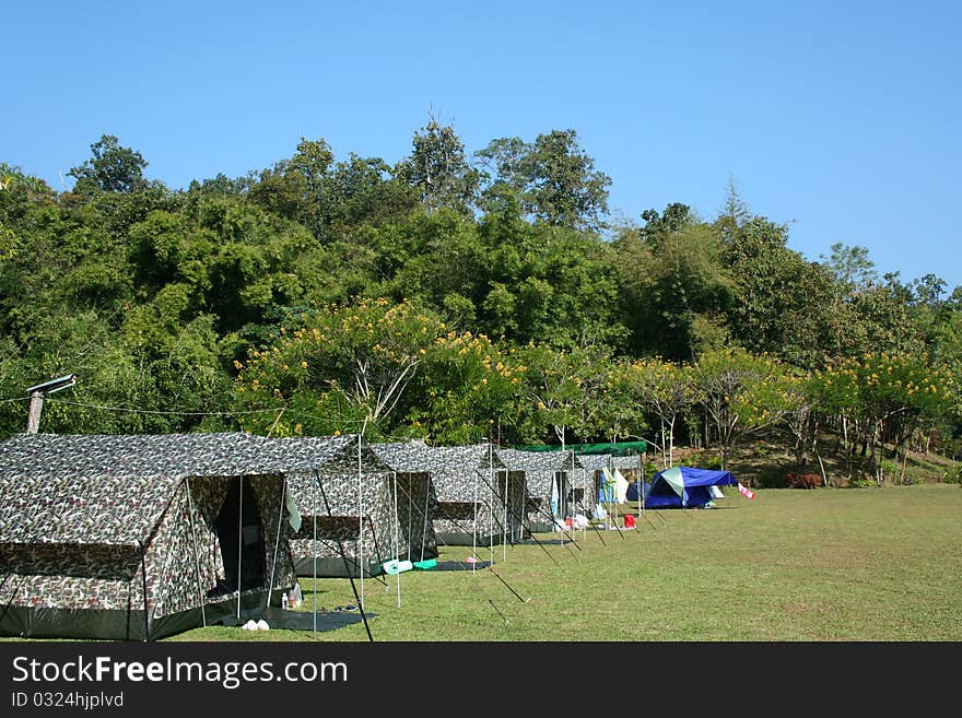 Tent set up in lush green campground