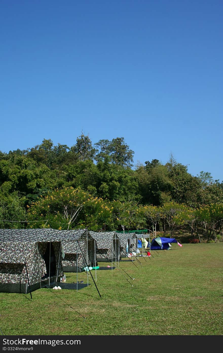 Tent set up in lush green campground