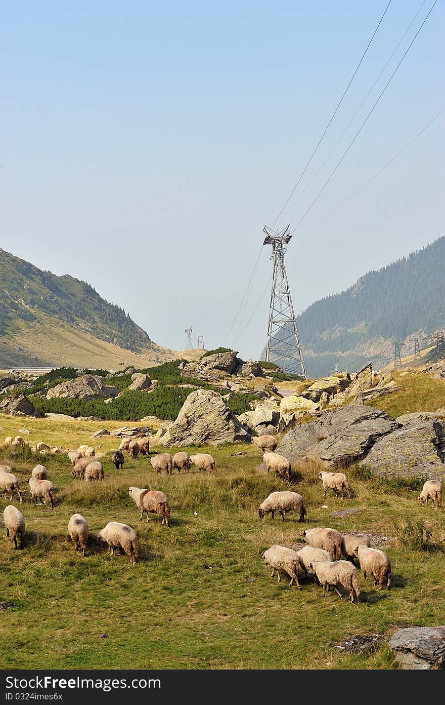 Mountains landscape in Rodnei mountains, Romania