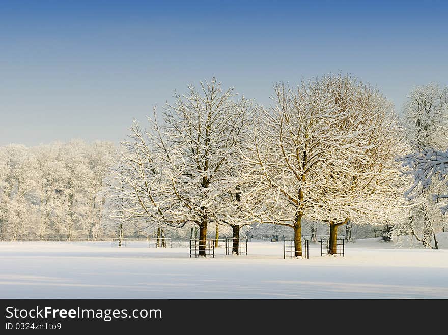 Beautiful winter landscape