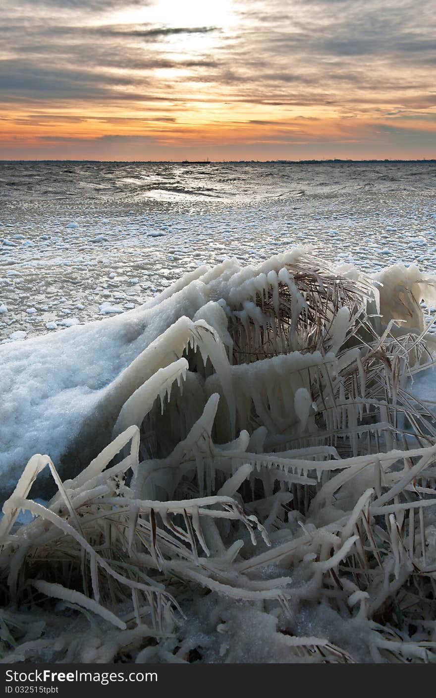 Cold winter sunrise landscape with reed covered in ice, markermeer, warder , The Netherlands. Cold winter sunrise landscape with reed covered in ice, markermeer, warder , The Netherlands