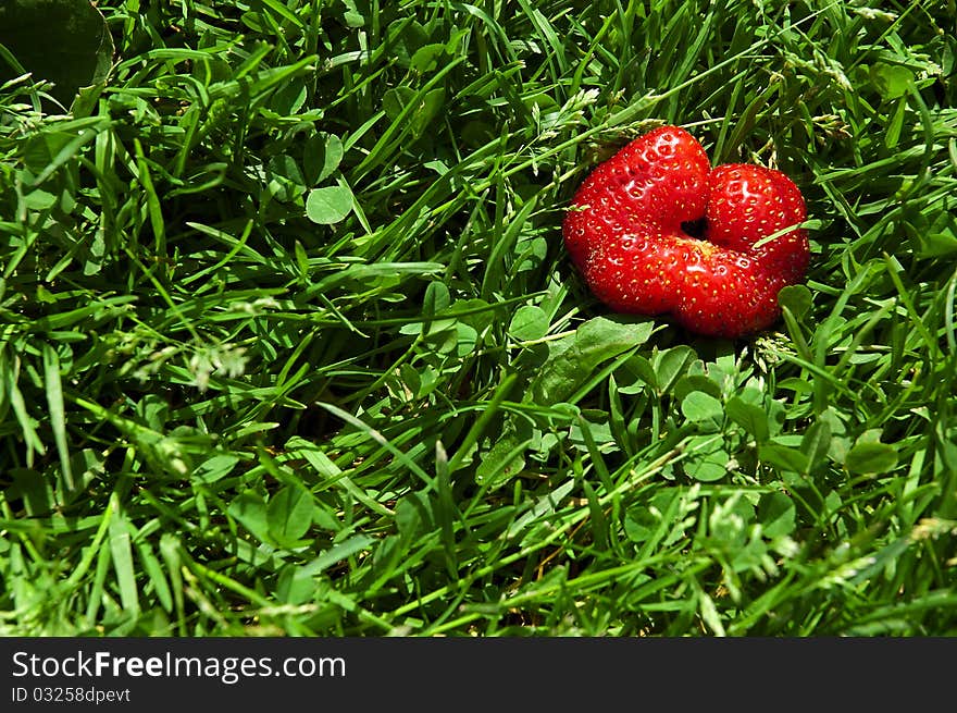 Strawberry shaped like lips lying in grass. Strawberry shaped like lips lying in grass