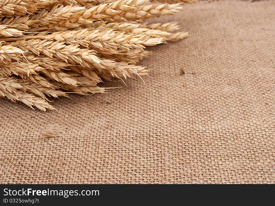 Wheat ears on burlap background