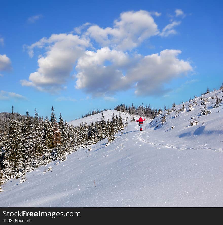 Winter Landscape In Mountains