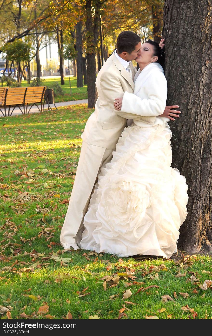 Groom is kissing his bride near the tree in the park. Groom is kissing his bride near the tree in the park