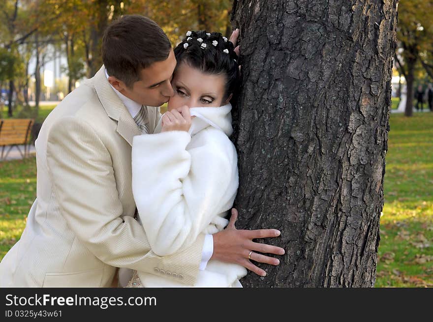 Groom is kissing his bride near the tree in the park. Groom is kissing his bride near the tree in the park