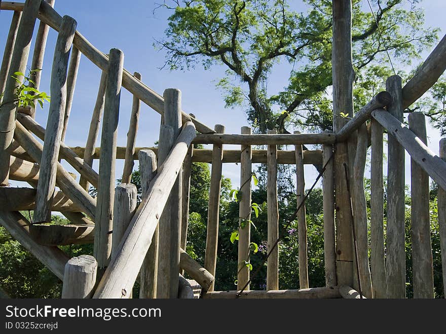 Wooden stairs of birdwatching tower on brazilian atlantic rainforest.