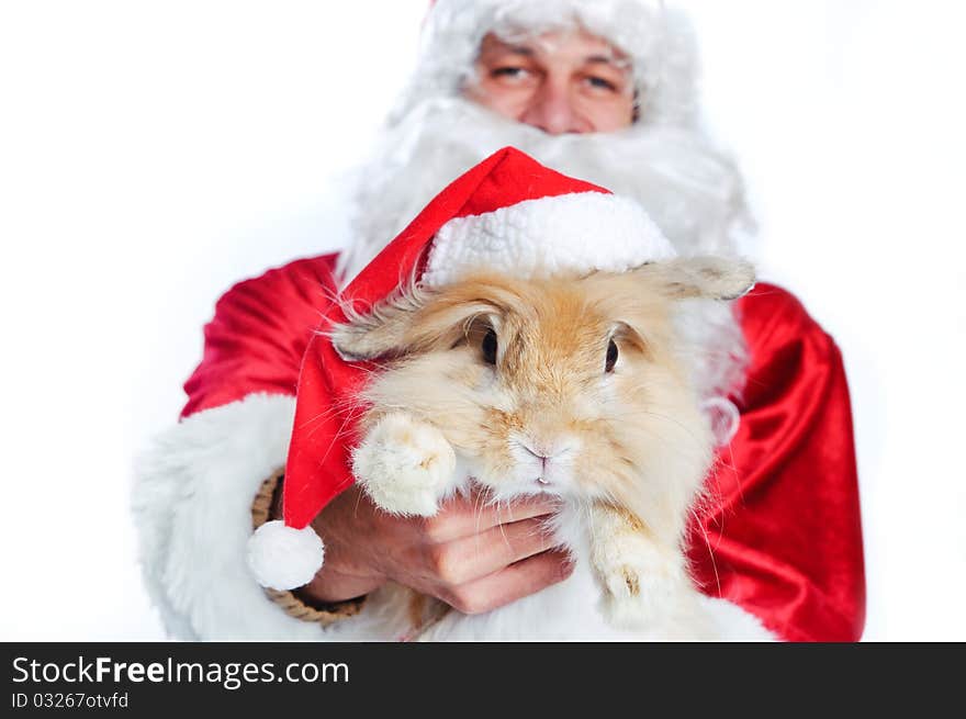 Photo of happy Santa Claus holding a cute rabbit in a santa hat. Focus a rabbit.