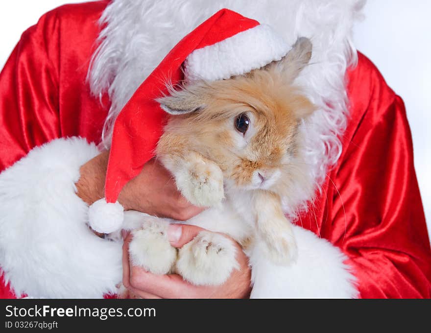 Photo a cute rabbit in a santa hat. Photo a cute rabbit in a santa hat