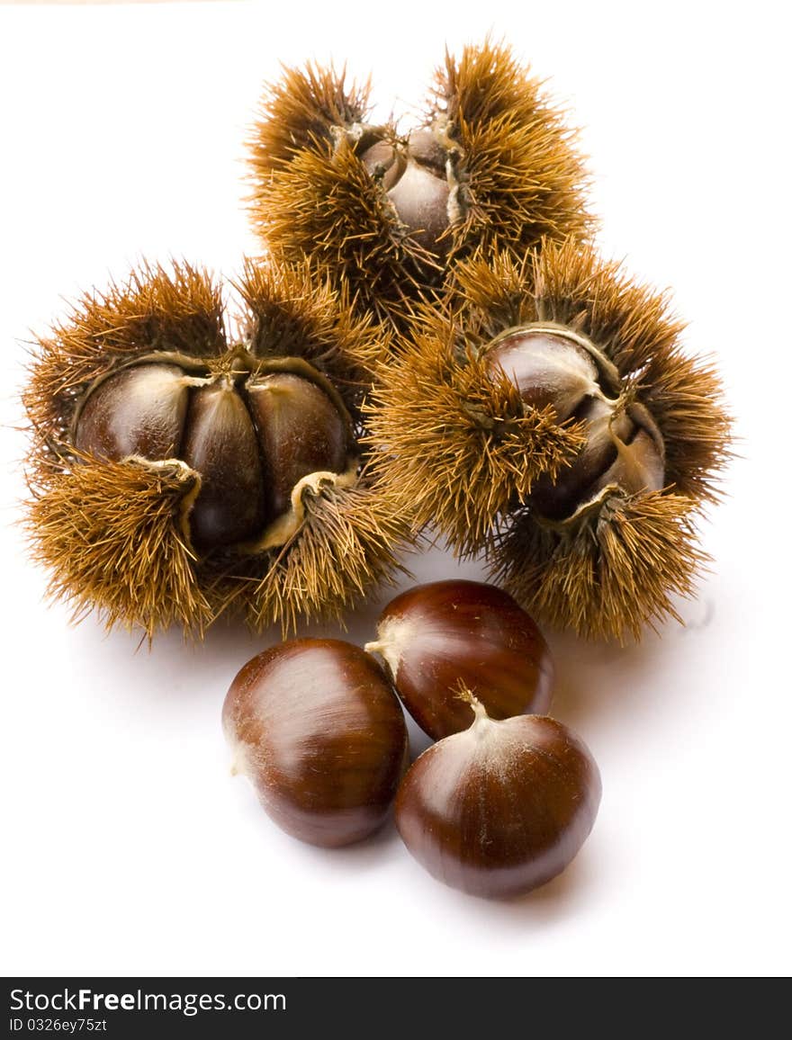 3 Chestnuts With 3 Husks